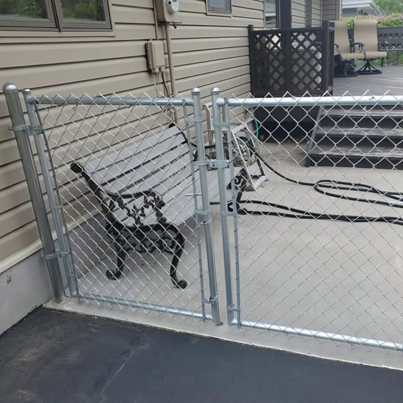 Galvanized Chain Link Fence